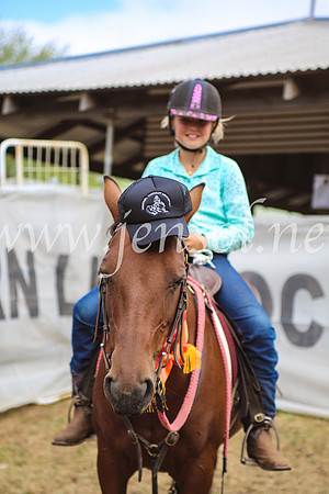 NimmitabelCampdraft2017_5976