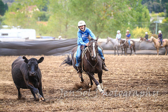 NimmitabelCampdraft2017_2928