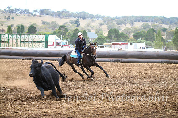 NimmitabelCampdraft2017_3050