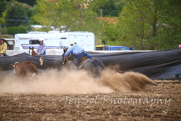 NimmitabelCampdraft2017_2959