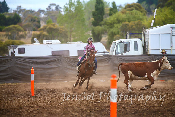 NimmitabelCampdraft2017_2915