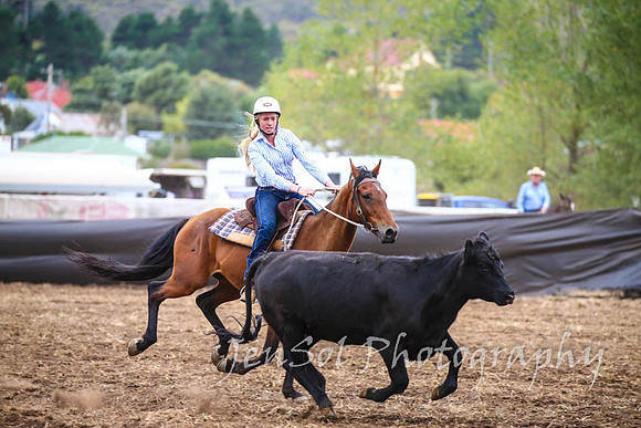 NimmitabelCampdraft2017_3006