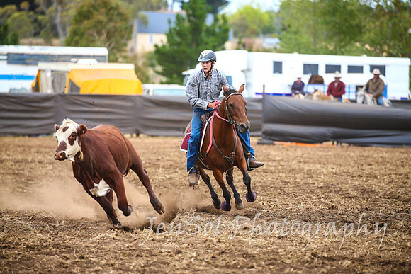NimmitabelCampdraft2017_2965