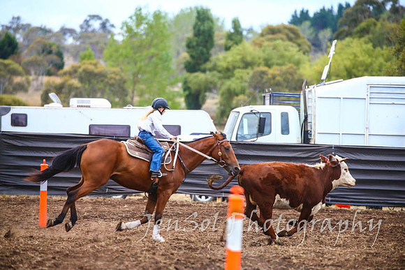 NimmitabelCampdraft2017_2841