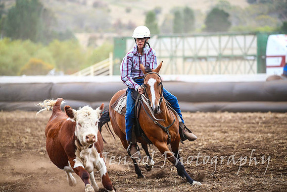 NimmitabelCampdraft2017_3022