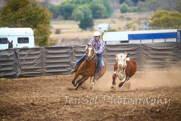 NimmitabelCampdraft2017_3013