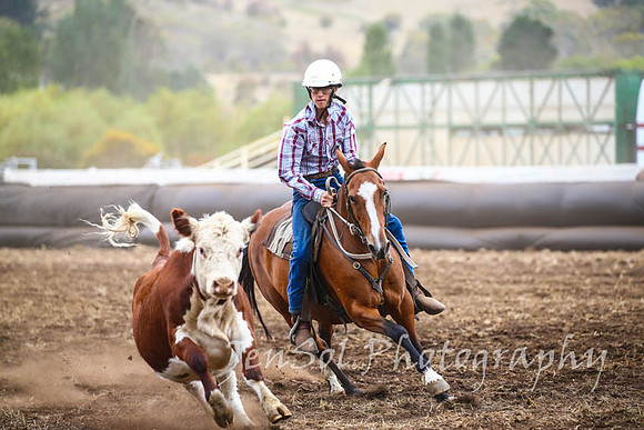 NimmitabelCampdraft2017_3027