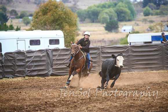 NimmitabelCampdraft2017_2992