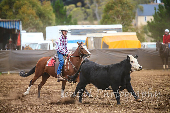 NimmitabelCampdraft2017_2983
