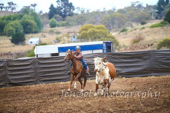 NimmitabelCampdraft2017_2897