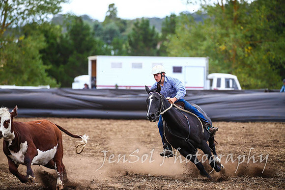 NimmitabelCampdraft2017_2956