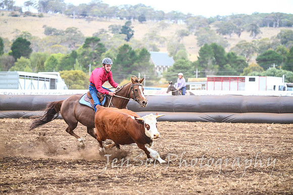 NimmitabelCampdraft2017_2865