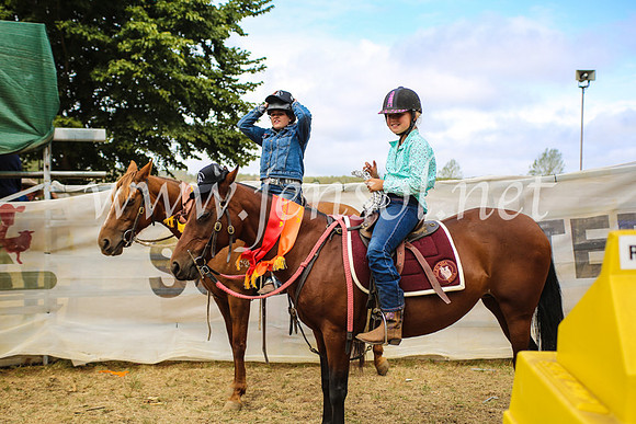 NimmitabelCampdraft2017_5972