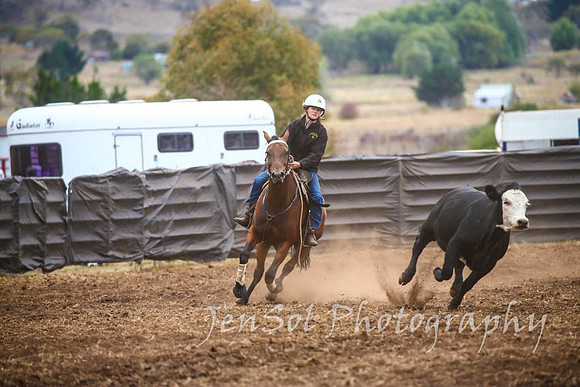 NimmitabelCampdraft2017_2993