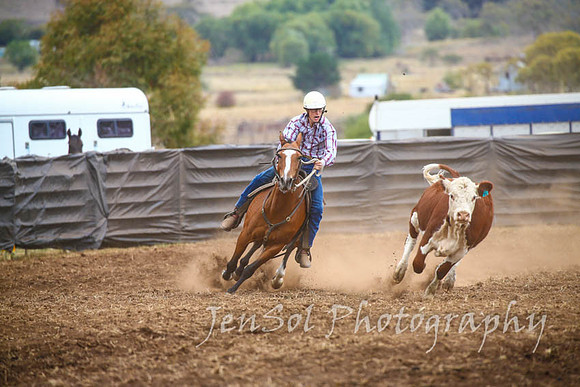 NimmitabelCampdraft2017_3012