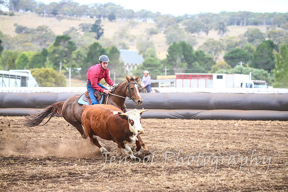 NimmitabelCampdraft2017_2861