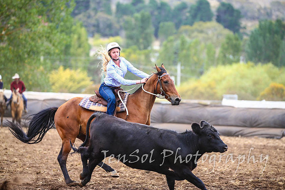NimmitabelCampdraft2017_2999