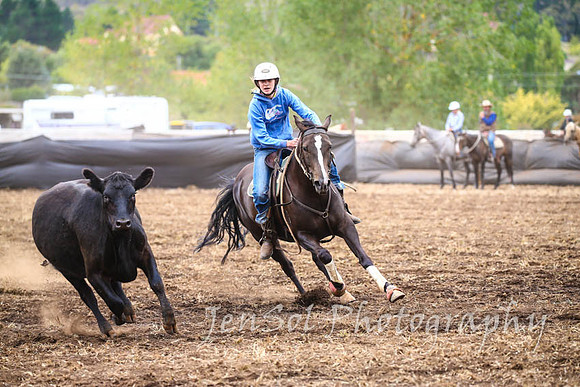 NimmitabelCampdraft2017_2926