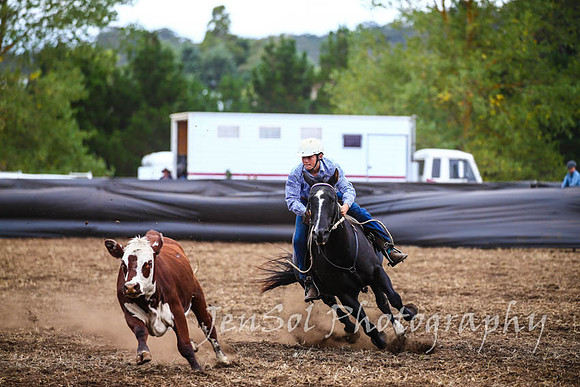 NimmitabelCampdraft2017_2947