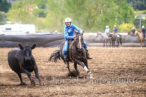 NimmitabelCampdraft2017_2927