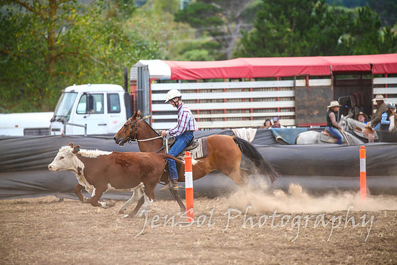NimmitabelCampdraft2017_3036