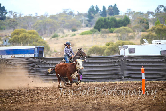 NimmitabelCampdraft2017_2845