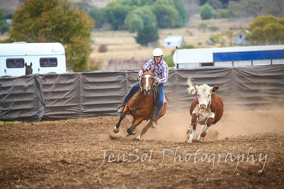NimmitabelCampdraft2017_3015