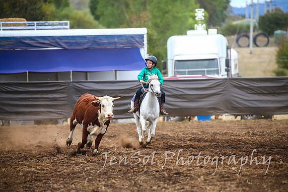 NimmitabelCampdraft2017_2871