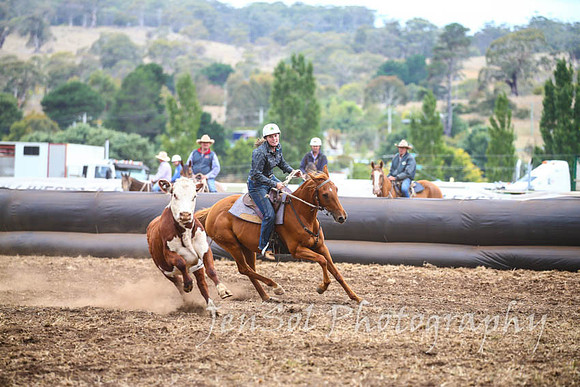 NimmitabelCampdraft2017_2975