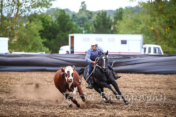 NimmitabelCampdraft2017_2955