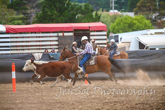 NimmitabelCampdraft2017_3035