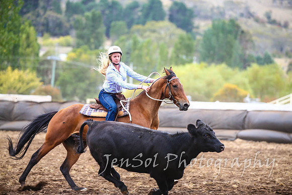 NimmitabelCampdraft2017_3009