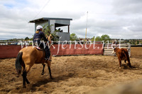 NimmitabelCampdraft2017_5939