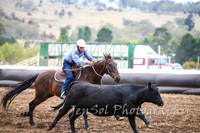NimmitabelCampdraft2017_3039