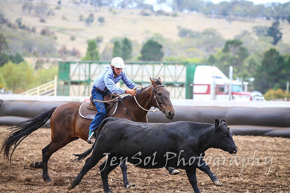 NimmitabelCampdraft2017_3039