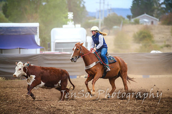 NimmitabelCampdraft2017_2986