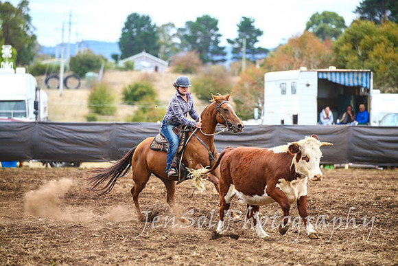 NimmitabelCampdraft2017_2904