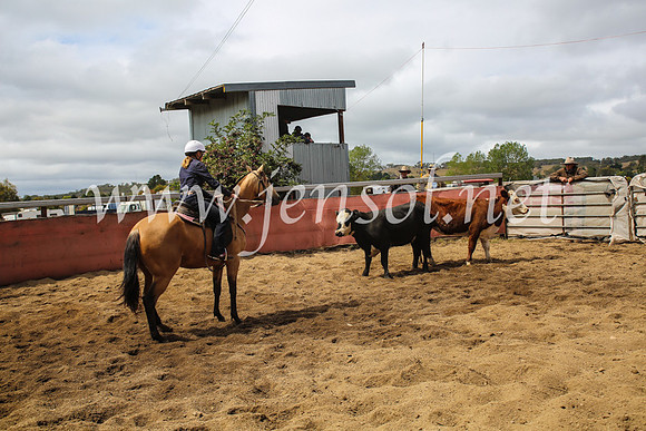 NimmitabelCampdraft2017_5935