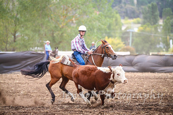 NimmitabelCampdraft2017_3017