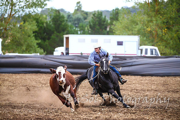 NimmitabelCampdraft2017_2953