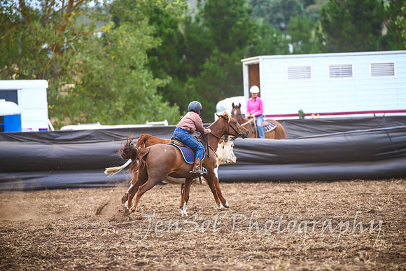 NimmitabelCampdraft2017_2884