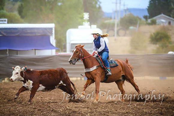 NimmitabelCampdraft2017_2987