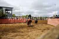 NimmitabelCampdraft2017_5930