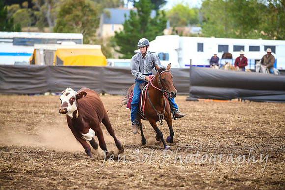 NimmitabelCampdraft2017_2967