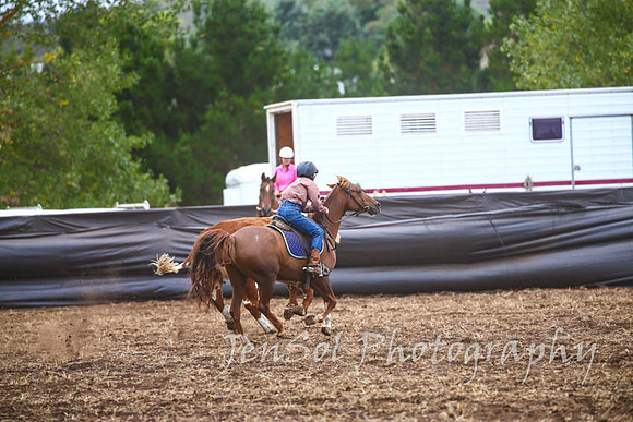 NimmitabelCampdraft2017_2881