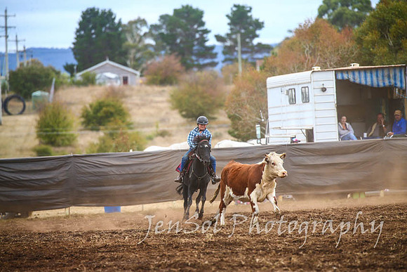NimmitabelCampdraft2017_2918