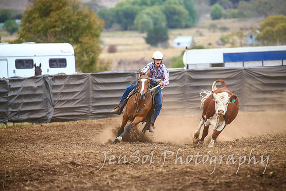 NimmitabelCampdraft2017_3011
