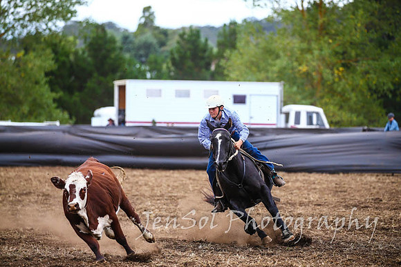 NimmitabelCampdraft2017_2950