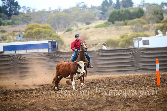 NimmitabelCampdraft2017_2855