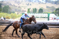 NimmitabelCampdraft2017_3042